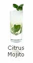 CITRUS MOJITO