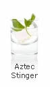 AZTEC STINGER