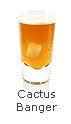 CACTUS BANGER