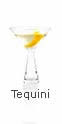 TEQUINI